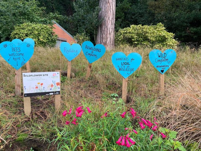 Low Mow Town wild flower area