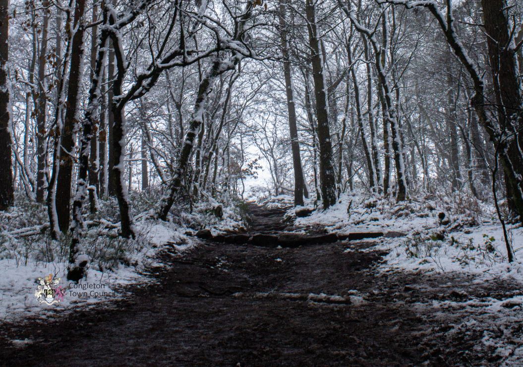 Winter woodland at Congleton Cloud