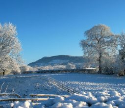 Snow covered ground in front of Bosley Cloud