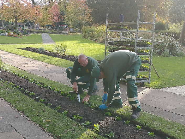 Streetscape working on the flowerbeds in Congleton Park