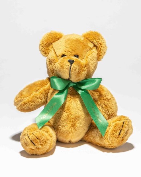 Congleton Beartown Bear from the Information Centre