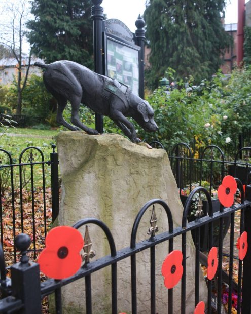 Treo was awarded the Dickins Medal, the animal equivalent to the Victoria Cross.