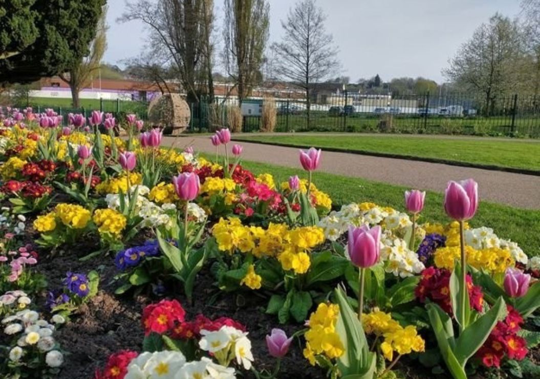 Beautiful blooms in the park