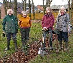 Tree planting at Back Lane in Congleton.