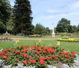 Summer floral displays Congleton Park