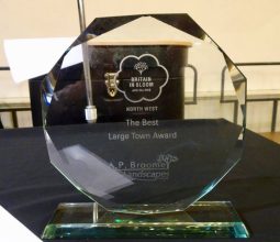 In Bloom Award