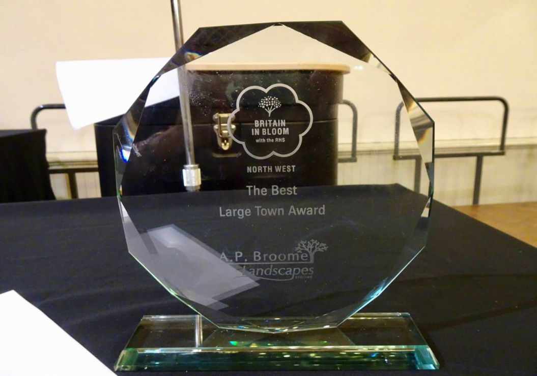 In Bloom Award