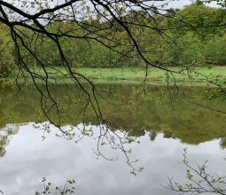 Biddulph Grange Country Park
