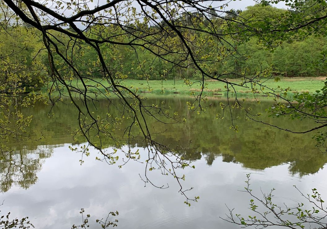 Biddulph Grange Country Park