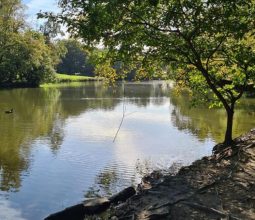 The Lake at Biddulph Grange Country Park