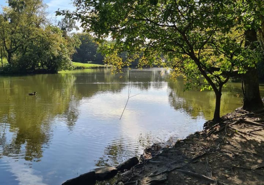 The Lake at Biddulph Grange Country Park