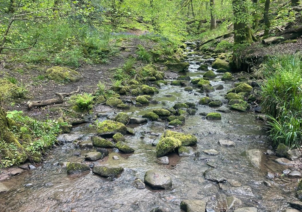 Brook at Biddulph Grange Country Park