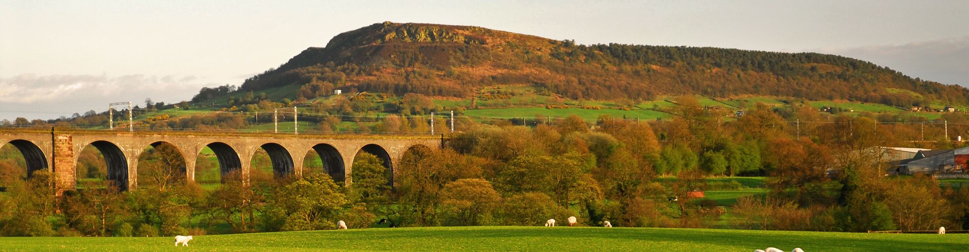 View of Bosley Cloud