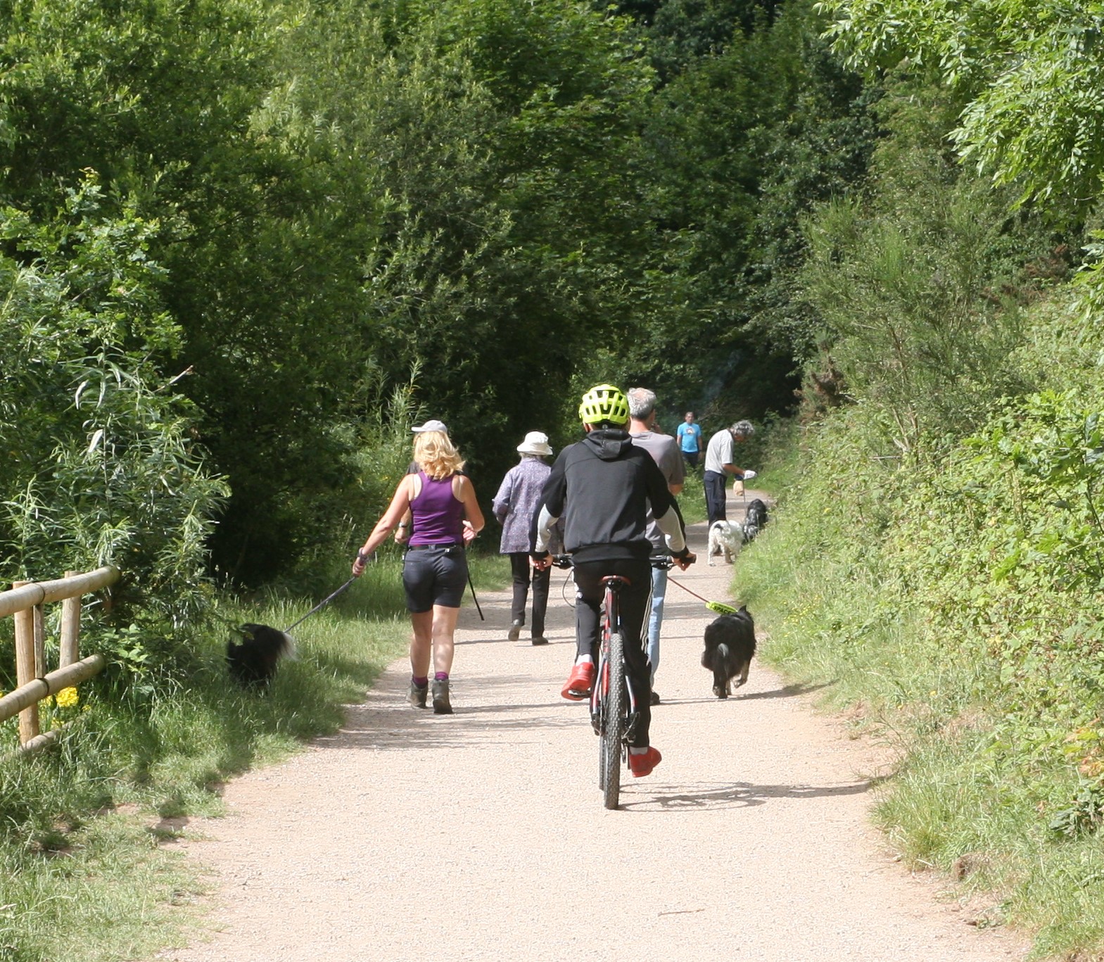 Cycling and Walking at Astbury Mere